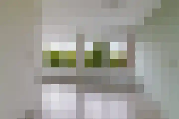 Handwerkerszijde 146 Drachten thumbnail 14