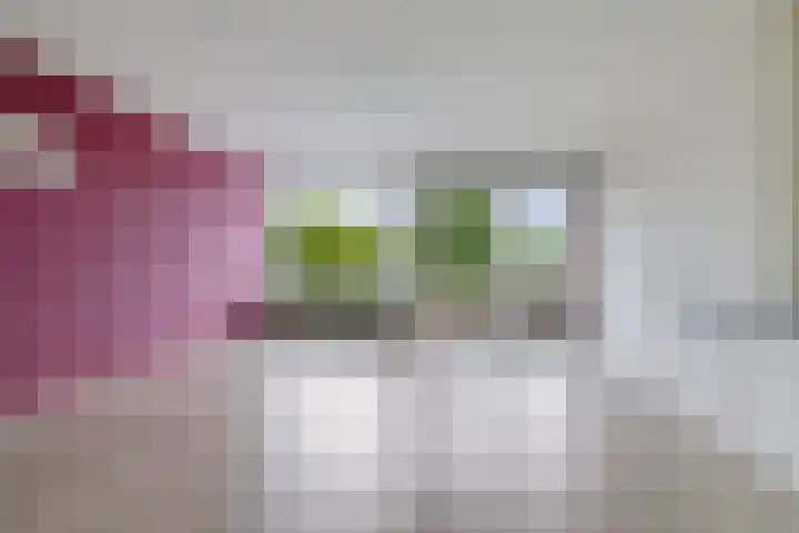 Handwerkerszijde 146 Drachten thumbnail 4