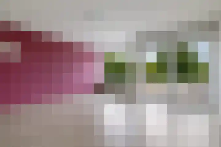 Handwerkerszijde 146 Drachten thumbnail 6