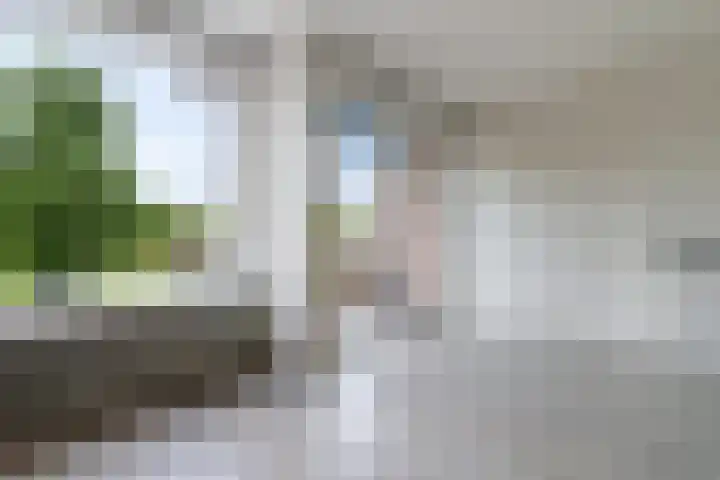 Handwerkerszijde 146 Drachten thumbnail 8