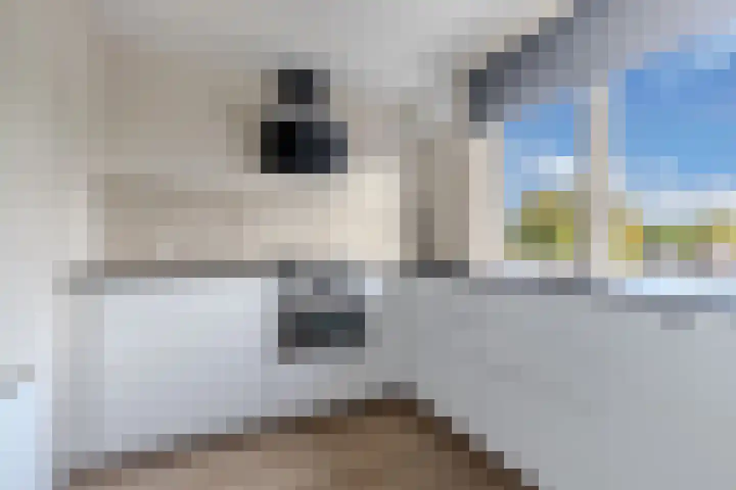 Handwerkerszijde 156 Drachten thumbnail 10