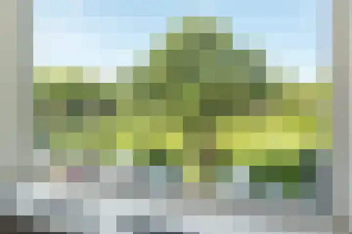 Handwerkerszijde 162 Drachten thumbnail 10