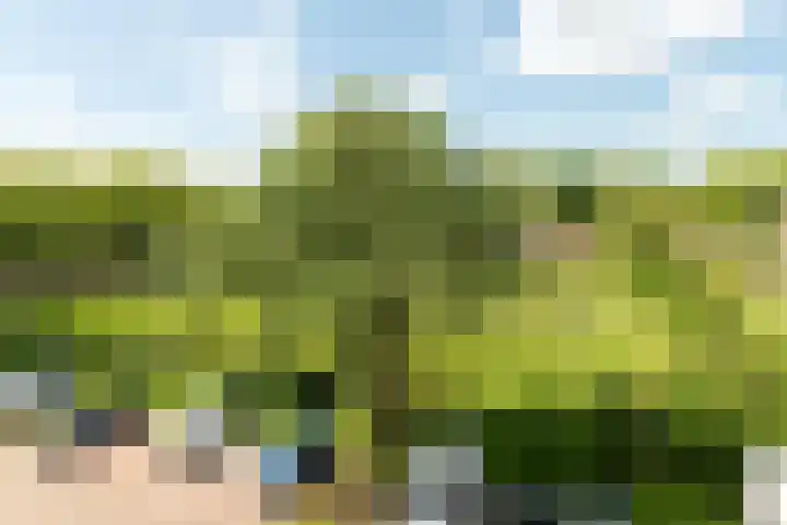 Handwerkerszijde 162 Drachten thumbnail 16