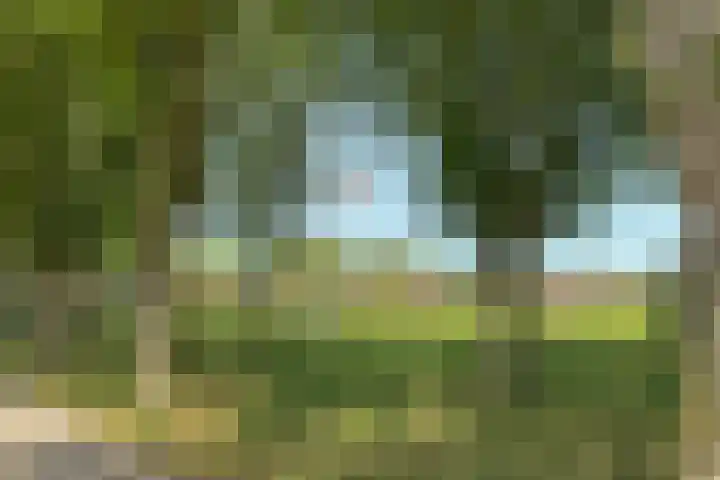 Handwerkerszijde 162 Drachten thumbnail 4