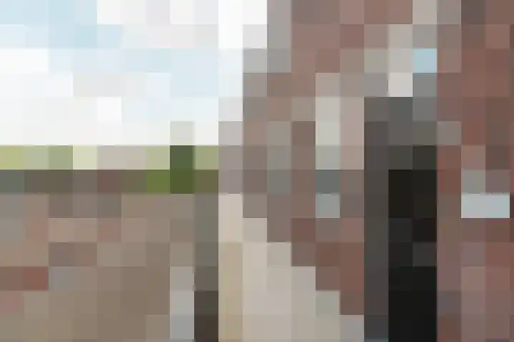 Handwerkerszijde 162 Drachten thumbnail 6
