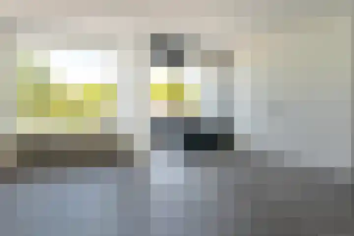 Handwerkerszijde 162 Drachten thumbnail 9