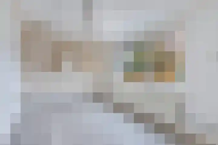 Handwerkerszijde 38 Drachten thumbnail 31