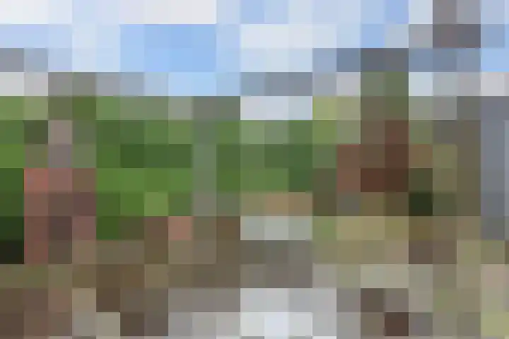 Handwerkerszijde 38 Drachten thumbnail 43