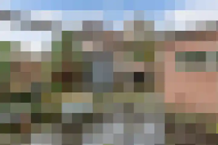 Handwerkerszijde 38 Drachten thumbnail 45