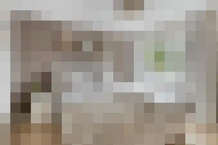 Handwerkerszijde 41 Drachten thumbnail 14