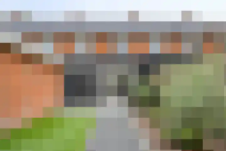 Handwerkerszijde 41 Drachten thumbnail 25