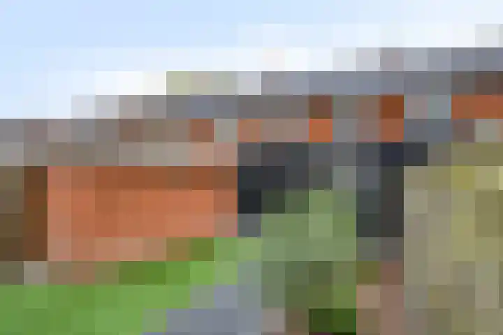 Handwerkerszijde 41 Drachten thumbnail 28