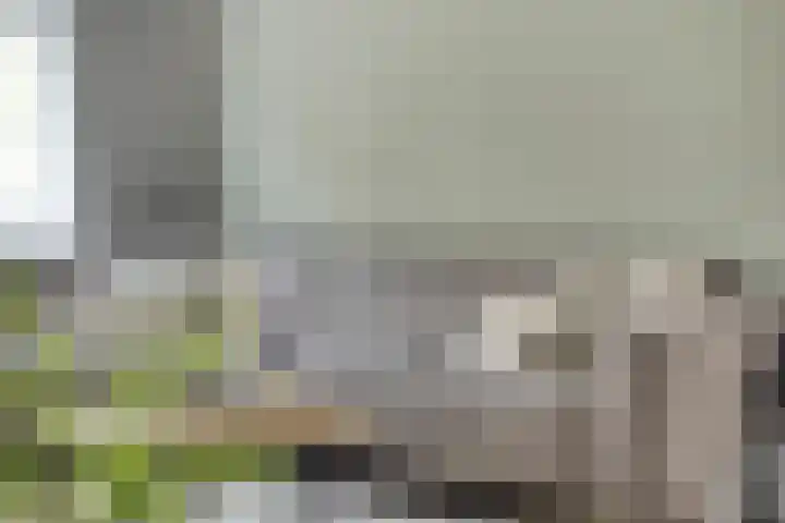 Handwerkerszijde 41 Drachten thumbnail 4