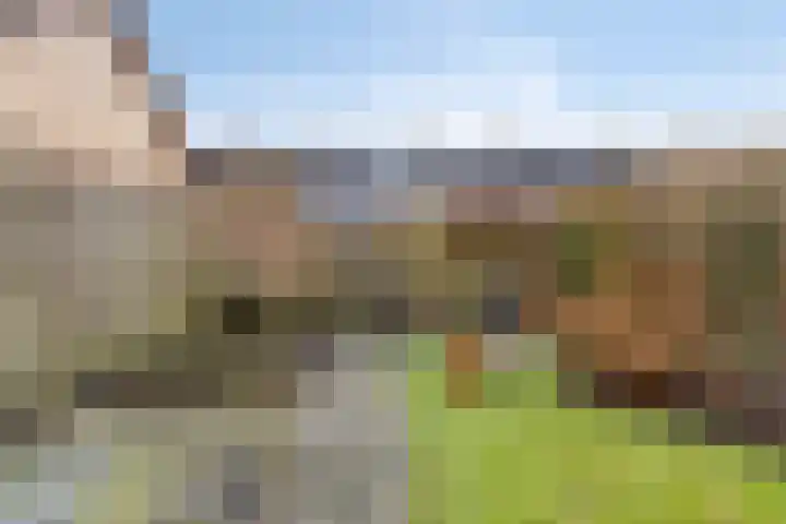 Handwerkerszijde 51 Drachten thumbnail 24