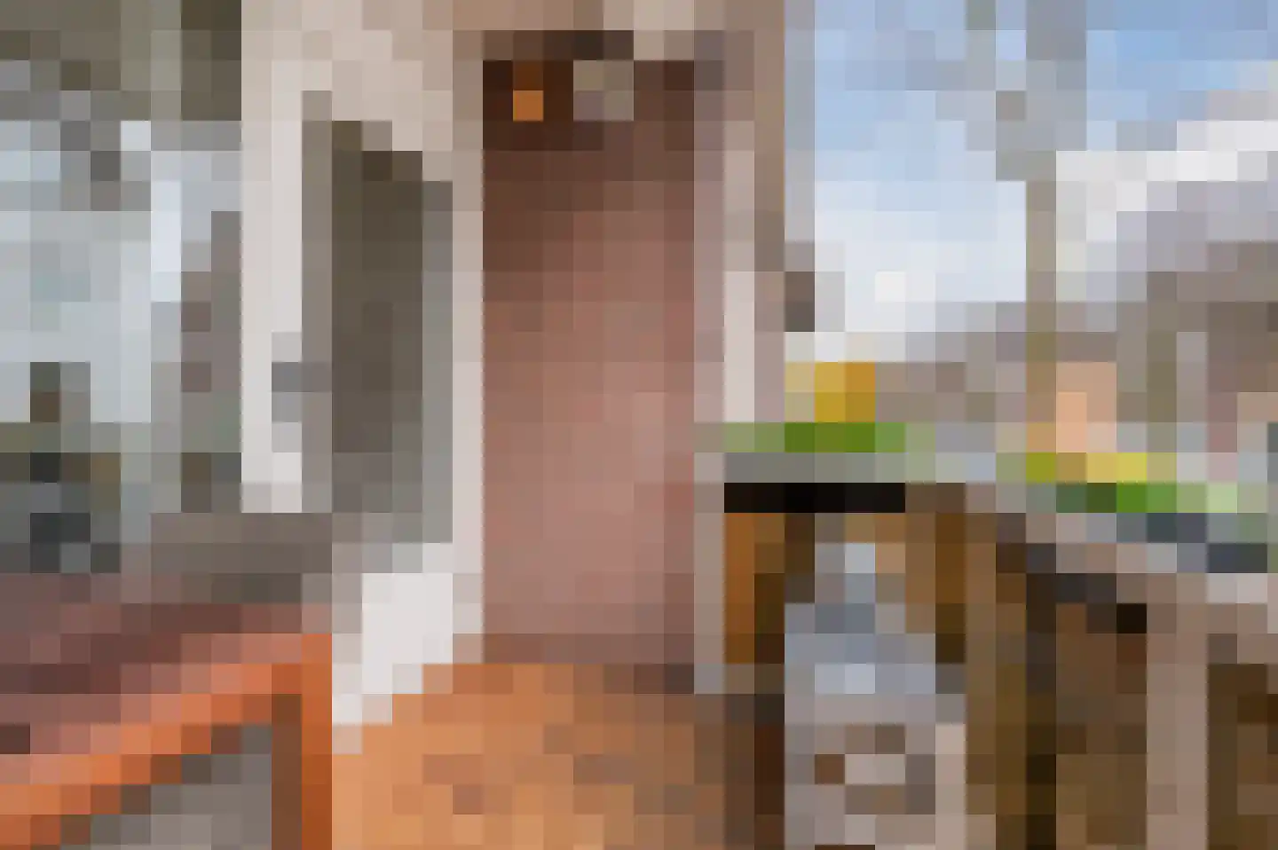 Handwerkstraat 26 Valkenswaard thumbnail 19