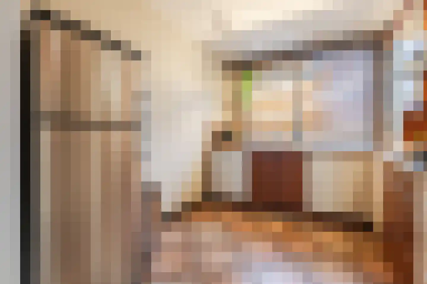 Handwerkstraat 26 Valkenswaard thumbnail 22