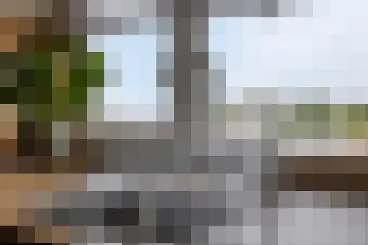Handwerkstraat 43 Valkenswaard thumbnail 9