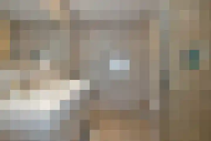 Hanebalk 5 Hoorn thumbnail 17