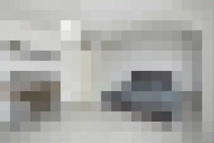 Hanebalk 5 Hoorn thumbnail 21