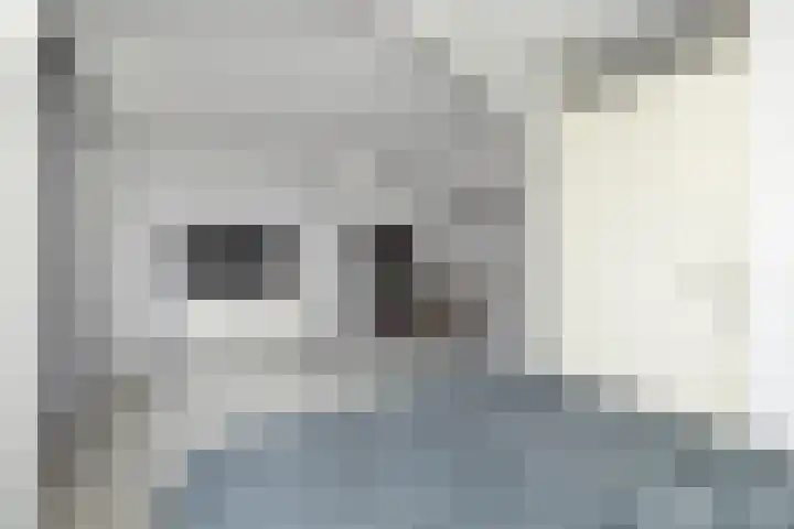 Hanebalk 5 Hoorn thumbnail 23