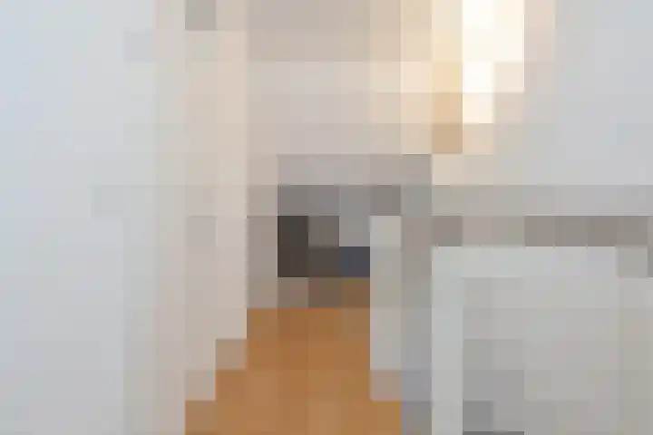 Hanebalk 5 Hoorn thumbnail 31