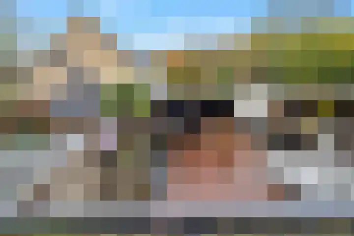 Hanebalk 5 Hoorn thumbnail 32