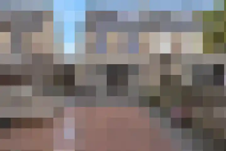 Hanebalk 5 Hoorn thumbnail 38