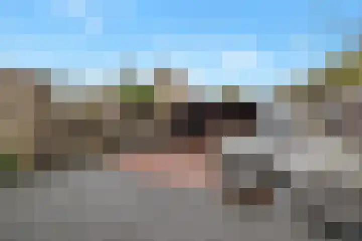 Hanebalk 5 Hoorn thumbnail 40