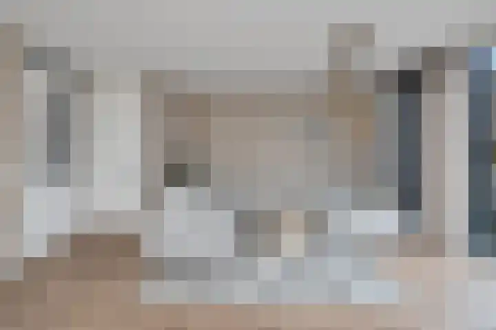 Hanebalk 5 Hoorn thumbnail 6