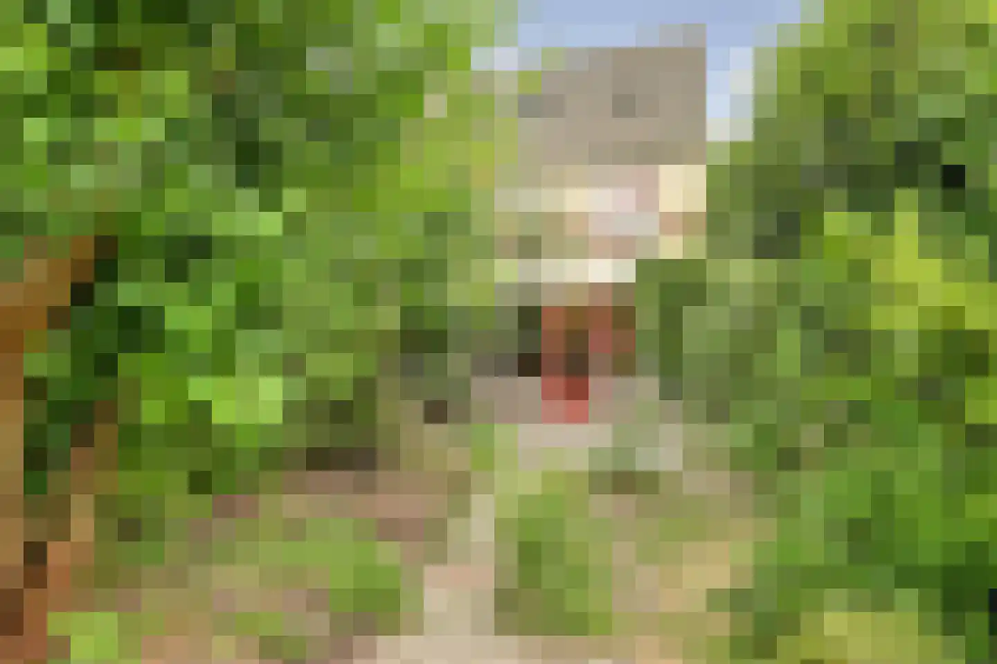 Hanebalk 57 Hoorn thumbnail 55