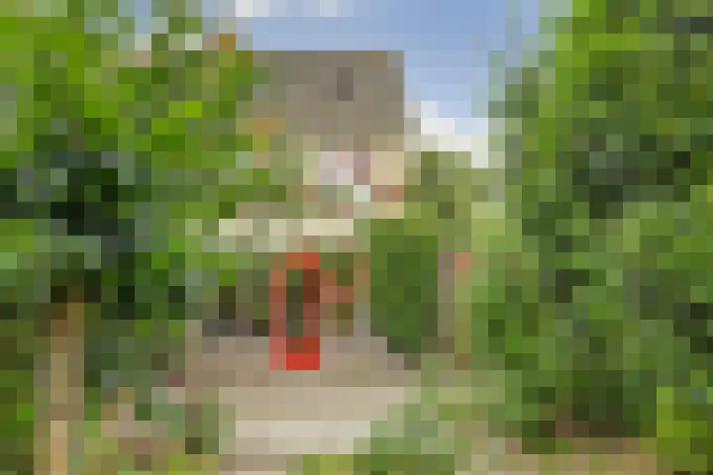 Hanebalk 57 Hoorn thumbnail 56