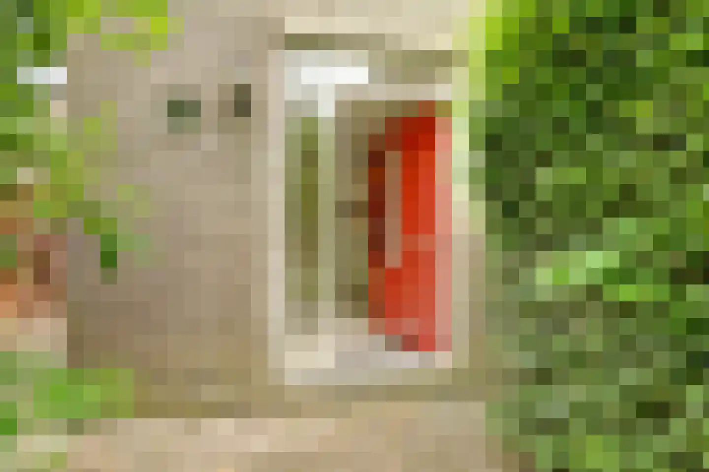 Hanebalk 57 Hoorn thumbnail 9