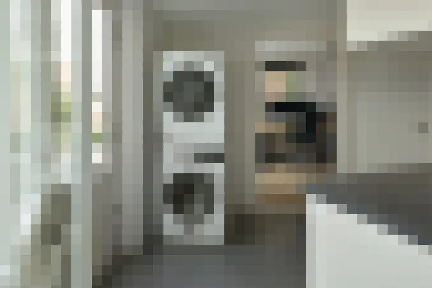 Hanebalken 10 Drachten thumbnail 15