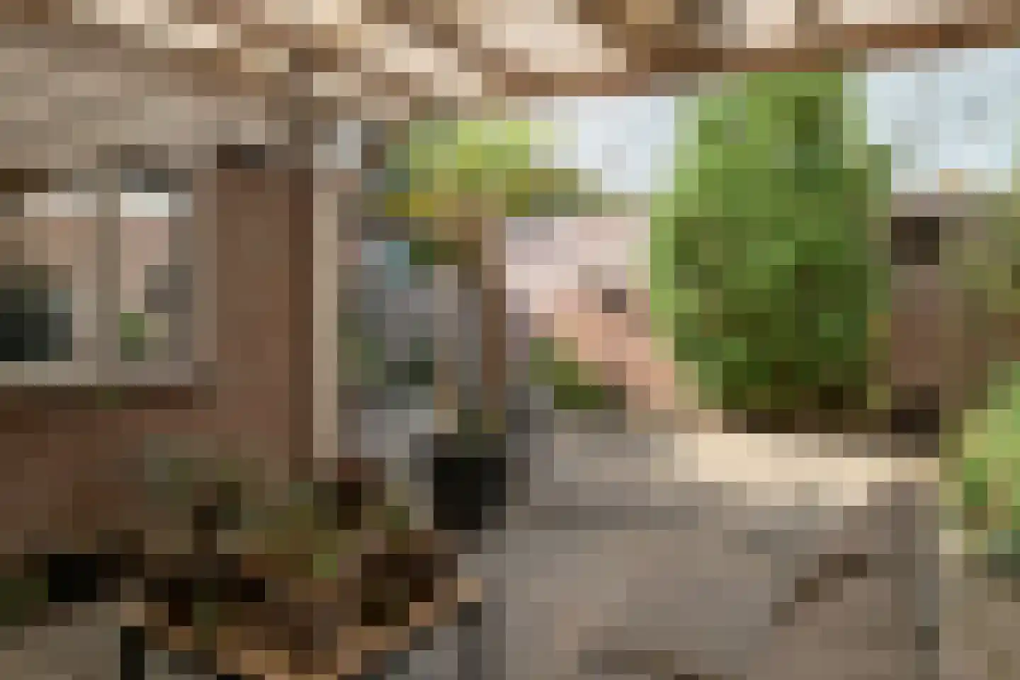 Hanebalken 10 Drachten thumbnail 27