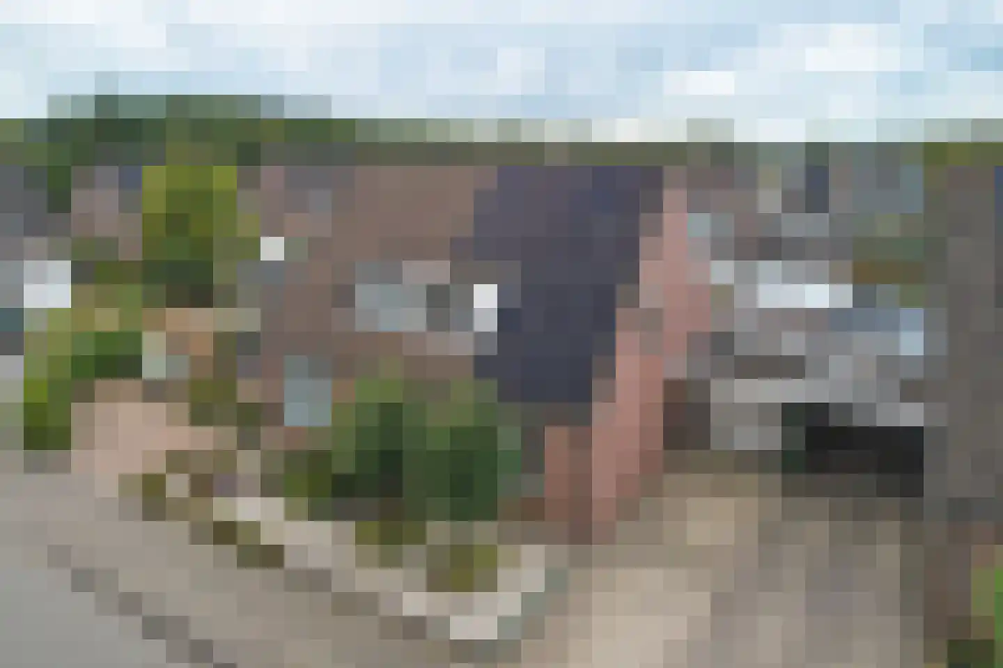 Hanebalken 10 Drachten thumbnail 5