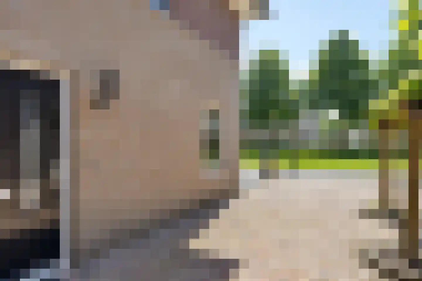 Hanebalken 132 Drachten thumbnail 13