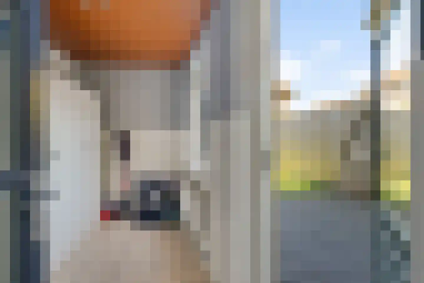Hanebalken 132 Drachten thumbnail 25
