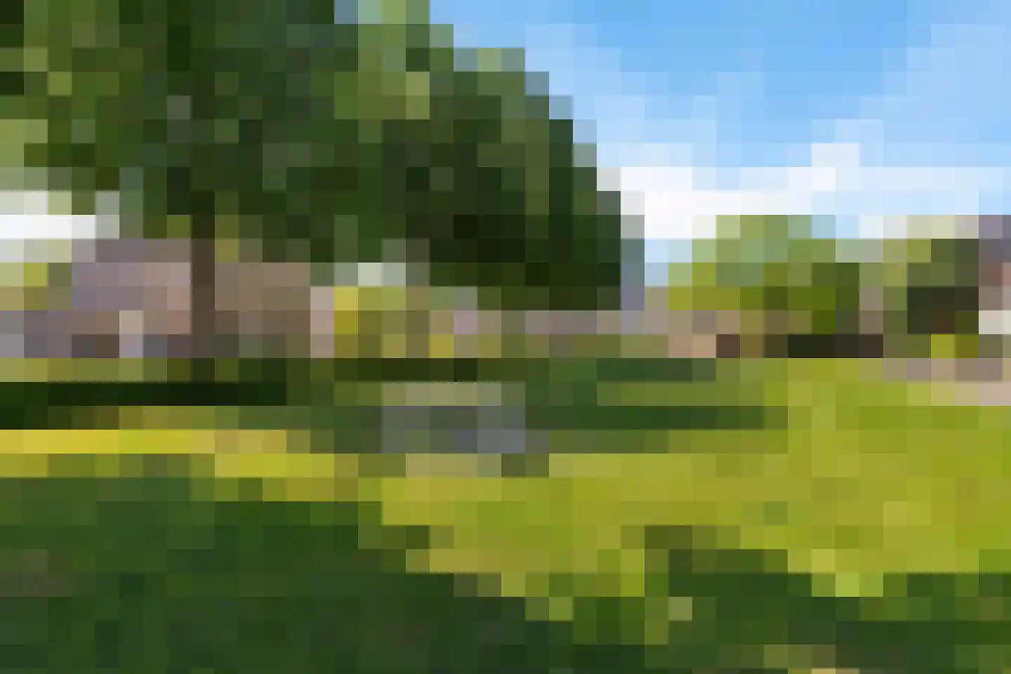 Hanebalken 132 Drachten thumbnail 7