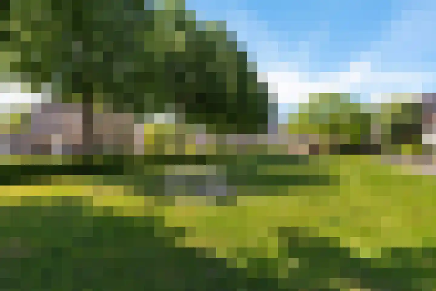 Hanebalken 132 Drachten thumbnail 8