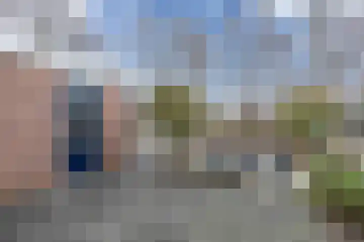 Hanebalken 145 Drachten thumbnail 17