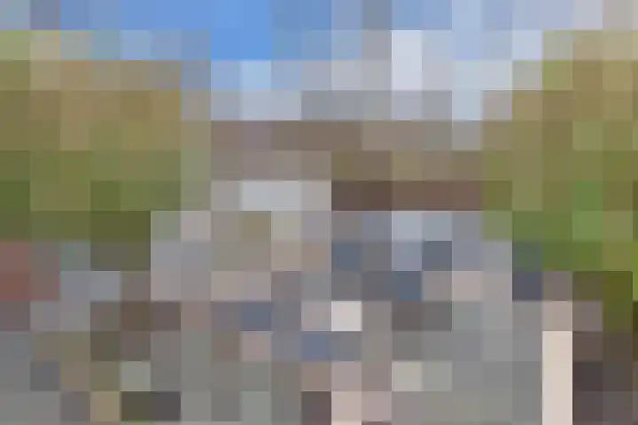 Hanebalken 145 Drachten thumbnail 18