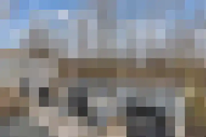 Hanebalken 145 Drachten thumbnail 19