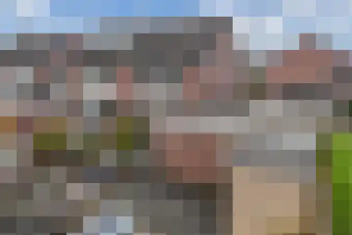 Hanebalken 145 Drachten thumbnail 23