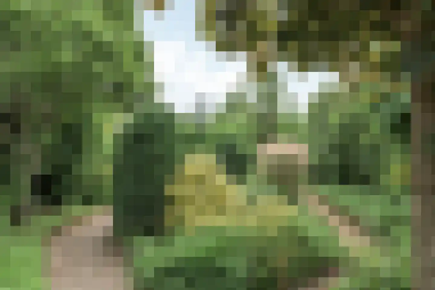 Hanebalken 177 Drachten thumbnail 10