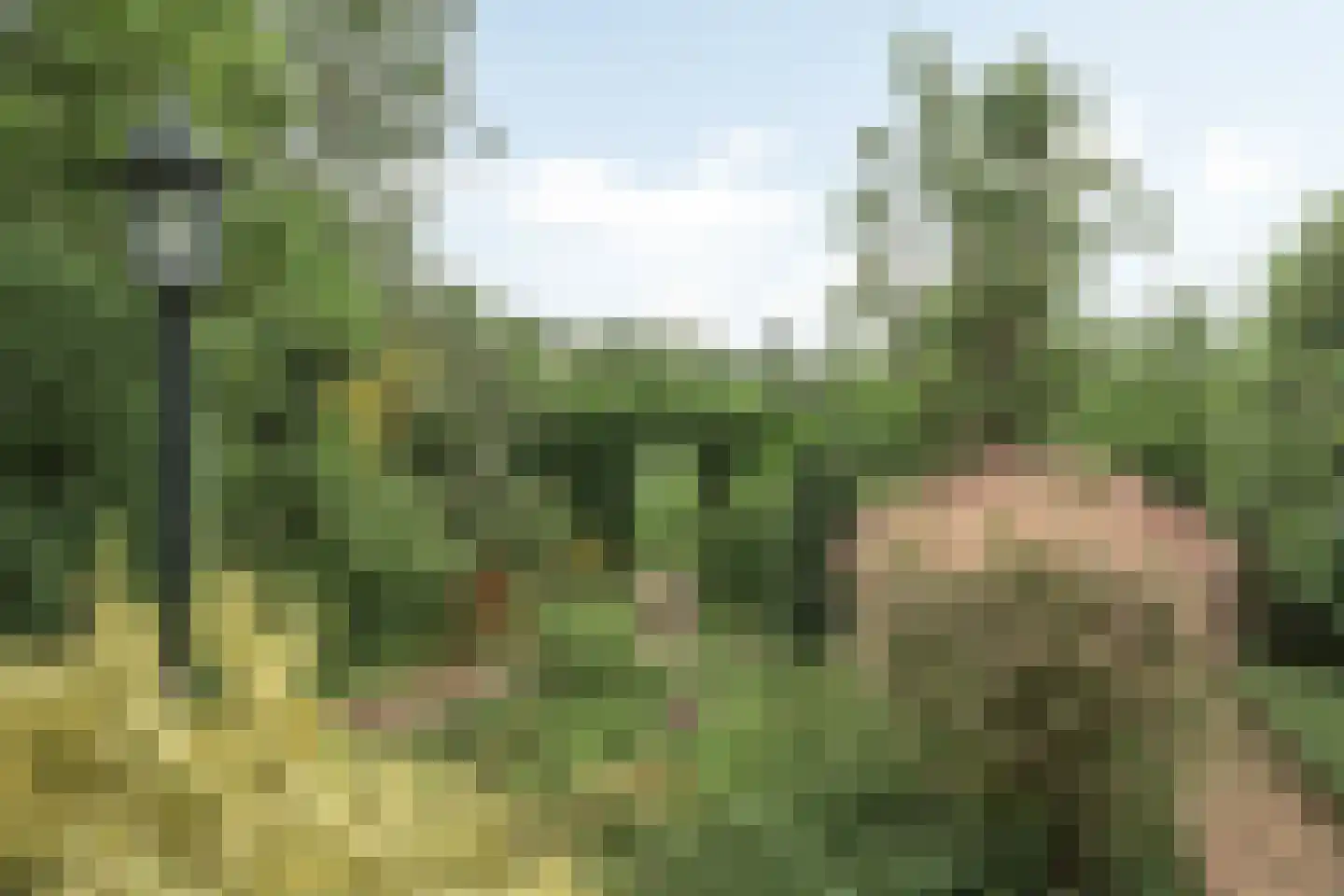 Hanebalken 177 Drachten thumbnail 11
