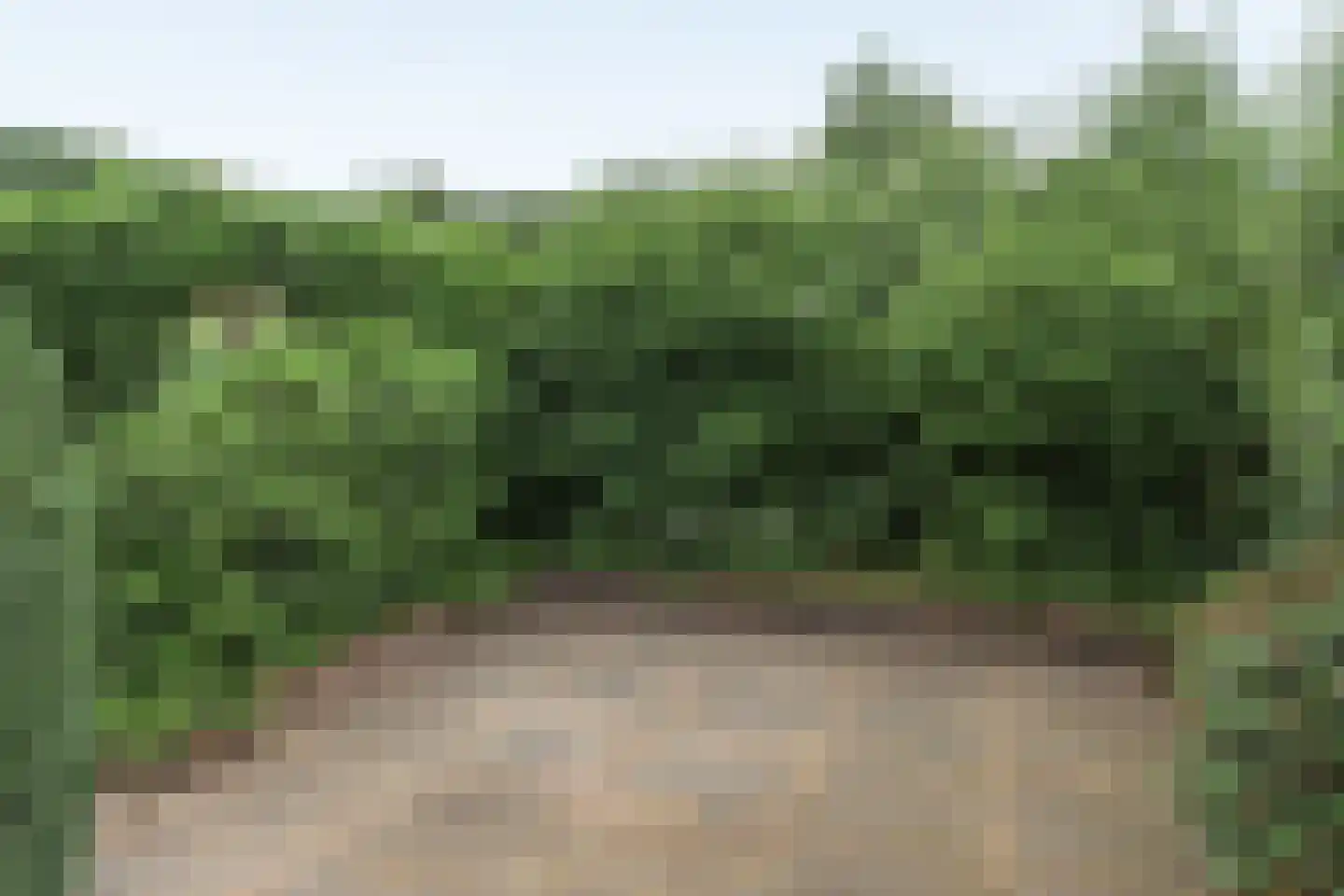 Hanebalken 177 Drachten thumbnail 12