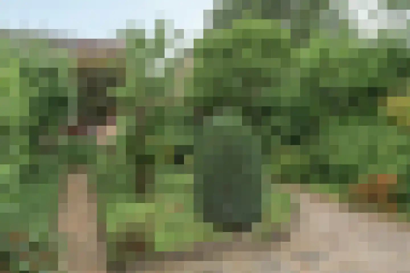 Hanebalken 177 Drachten thumbnail 13