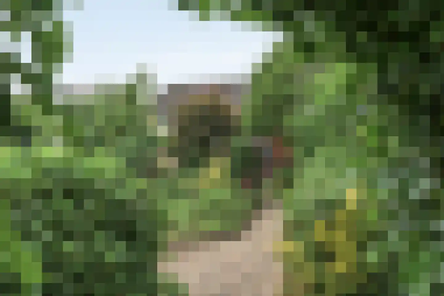 Hanebalken 177 Drachten thumbnail 14