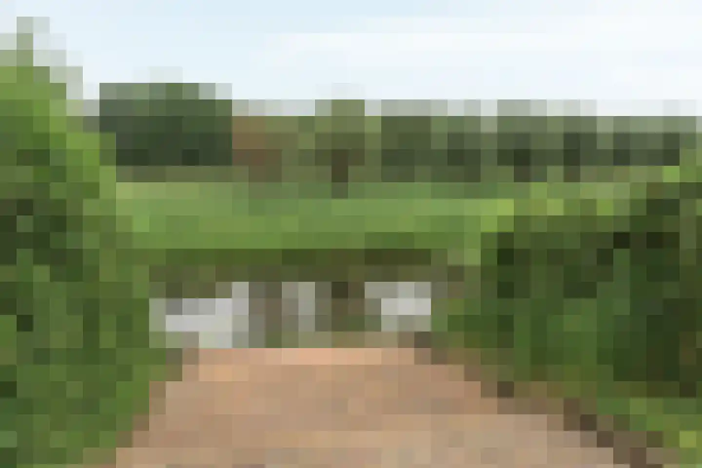 Hanebalken 177 Drachten thumbnail 16