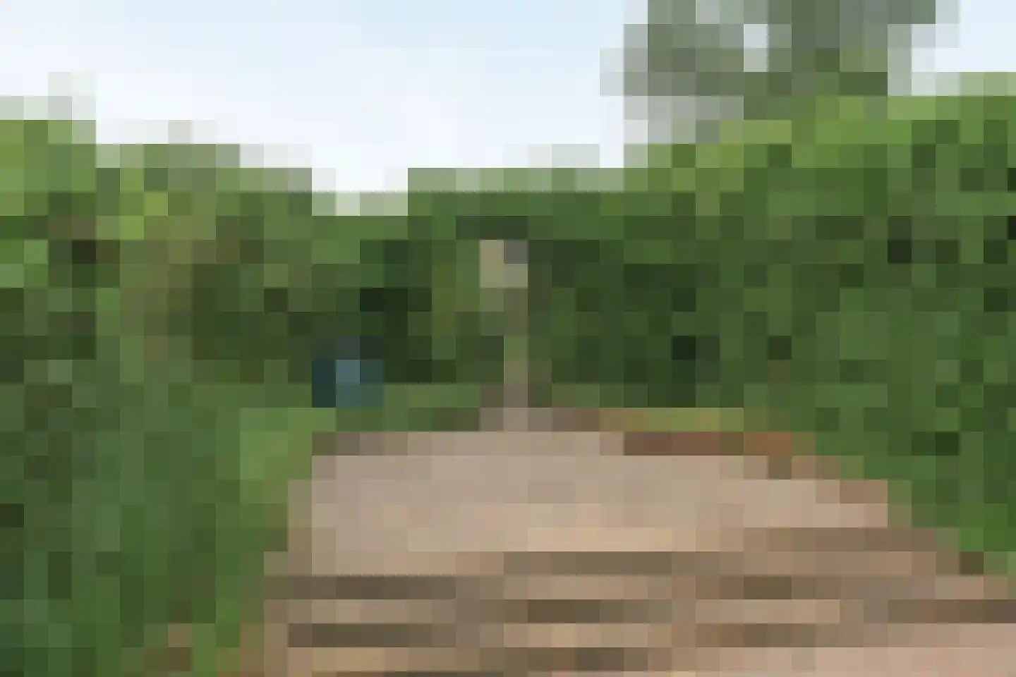 Hanebalken 177 Drachten thumbnail 18